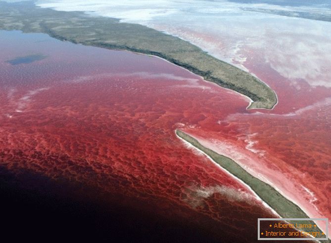 Bright red water in the lake