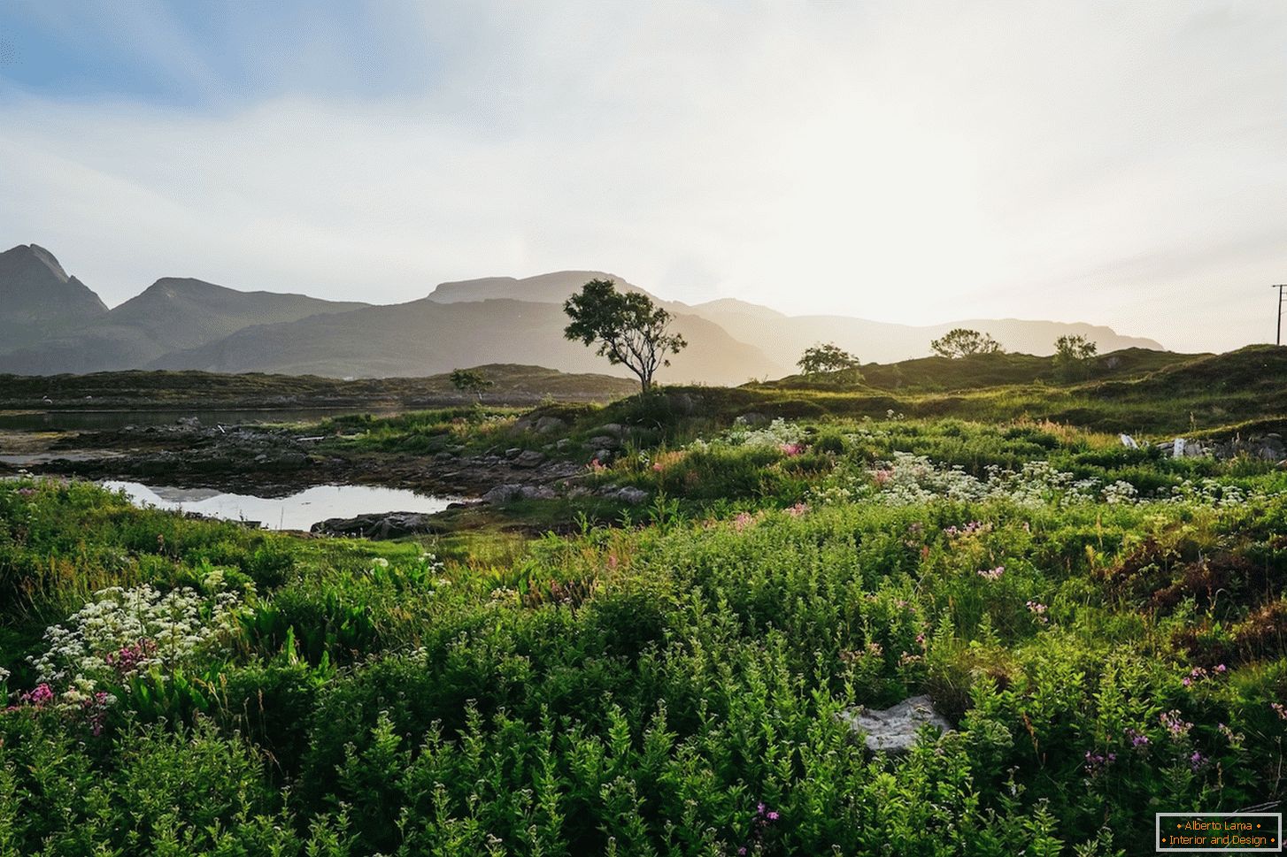 Juicy landscape of Norway fields