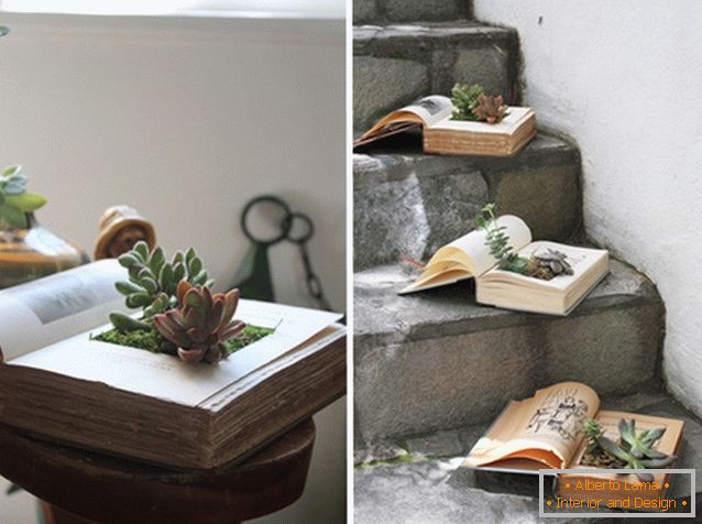 Houseplants in the book
