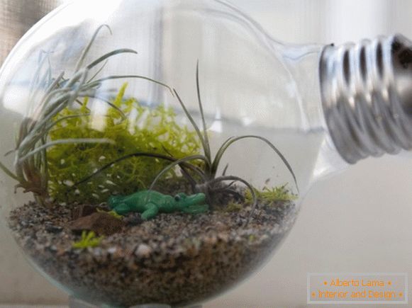 Idea for a small terrarium in the house