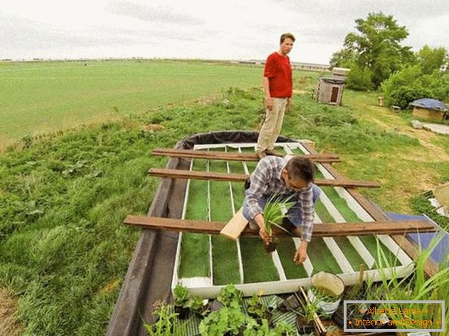 Arrangement of a small house: a roof in the process of construction