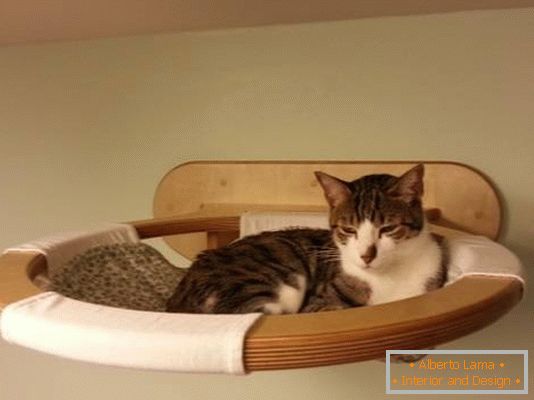 Suspended shelf in the role of a bed for a cat