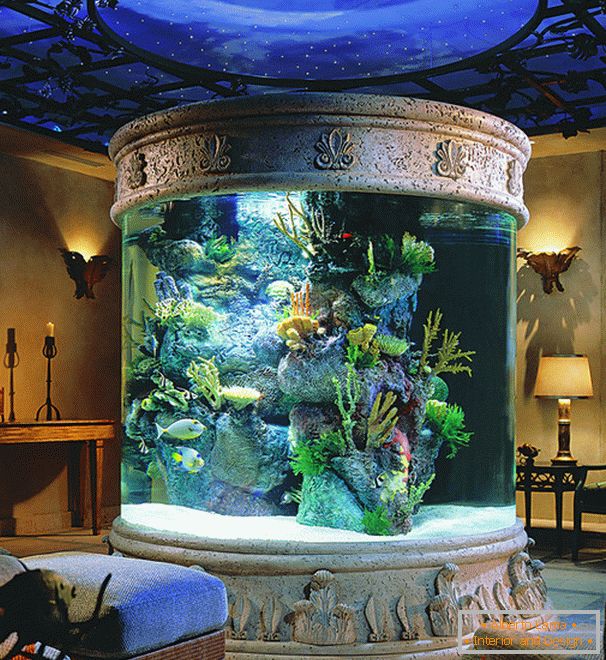 Round aquarium in the living room