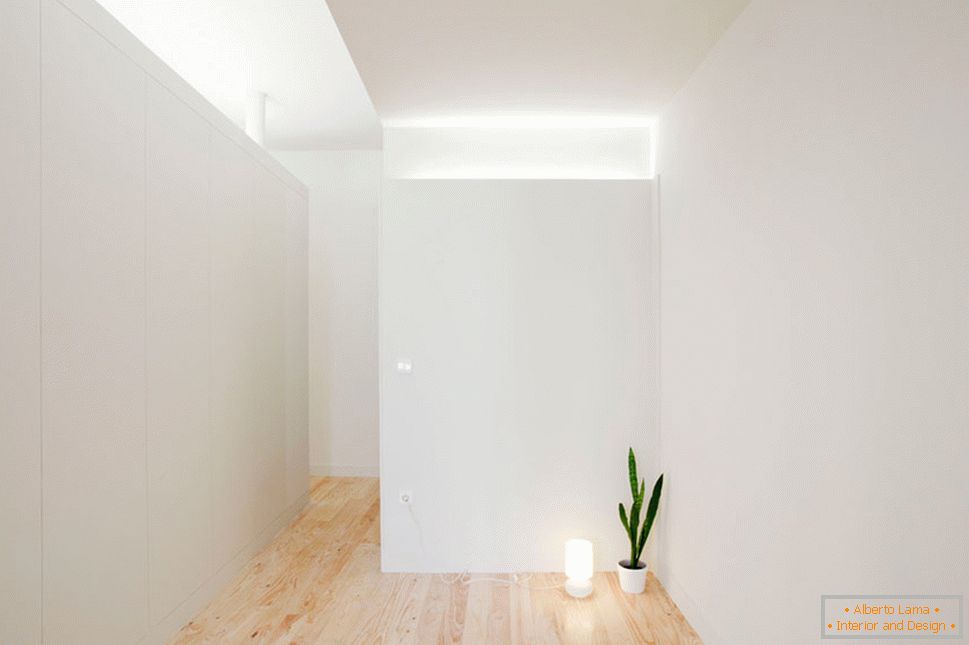 Interior of a small studio apartment in light colors - одинокий цветок