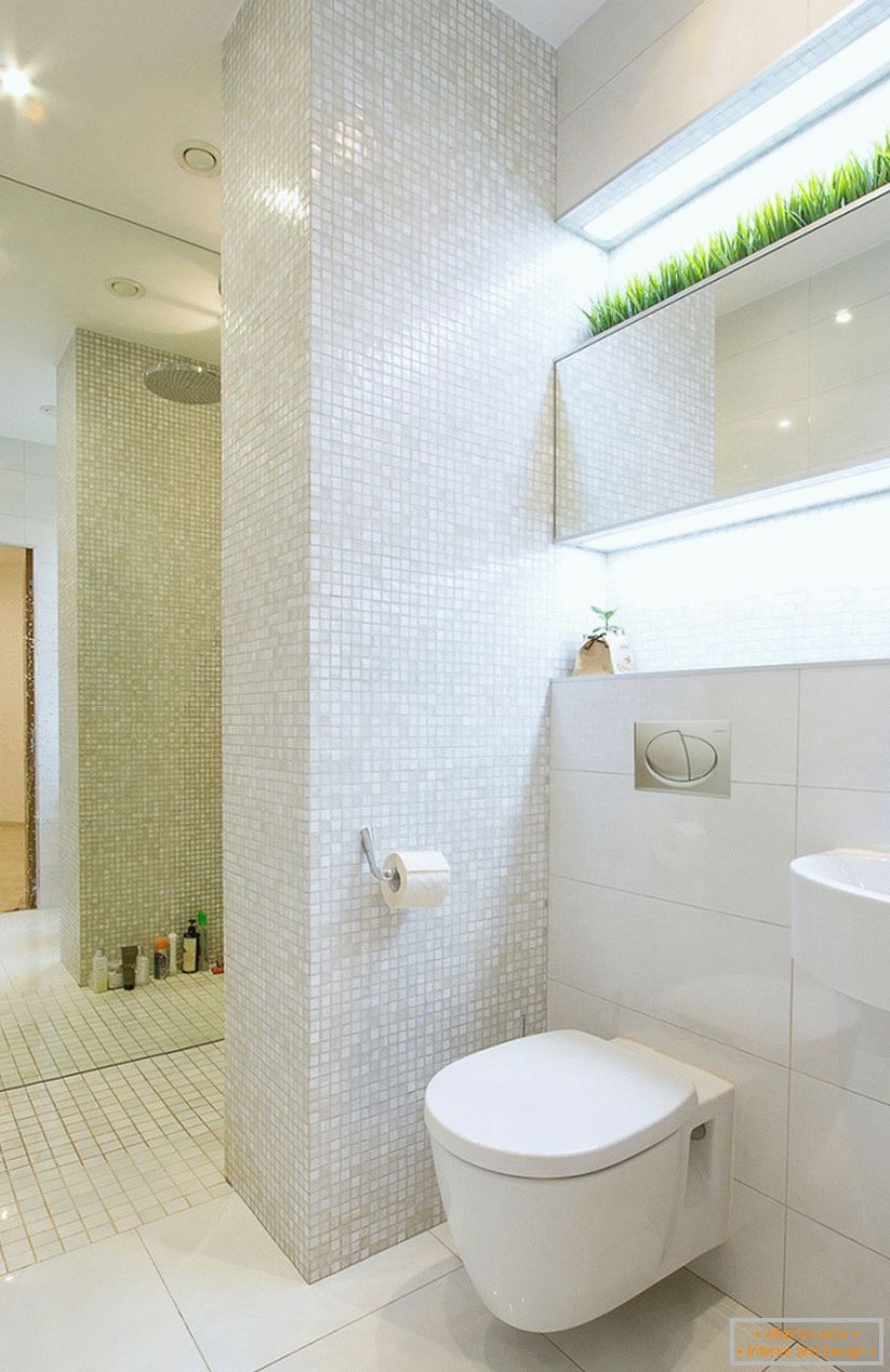 Interior of the lavatory in a spacious one-room apartment