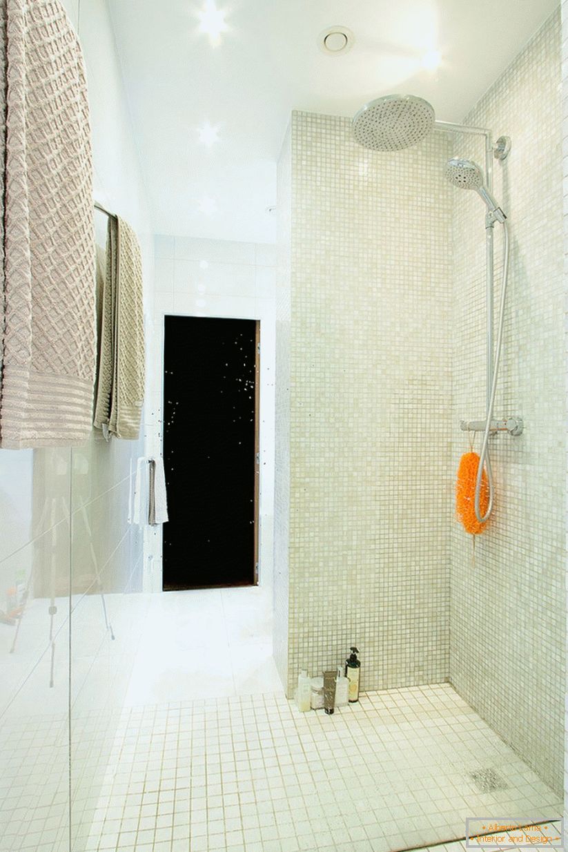 Interior shower room in a spacious one-room apartment