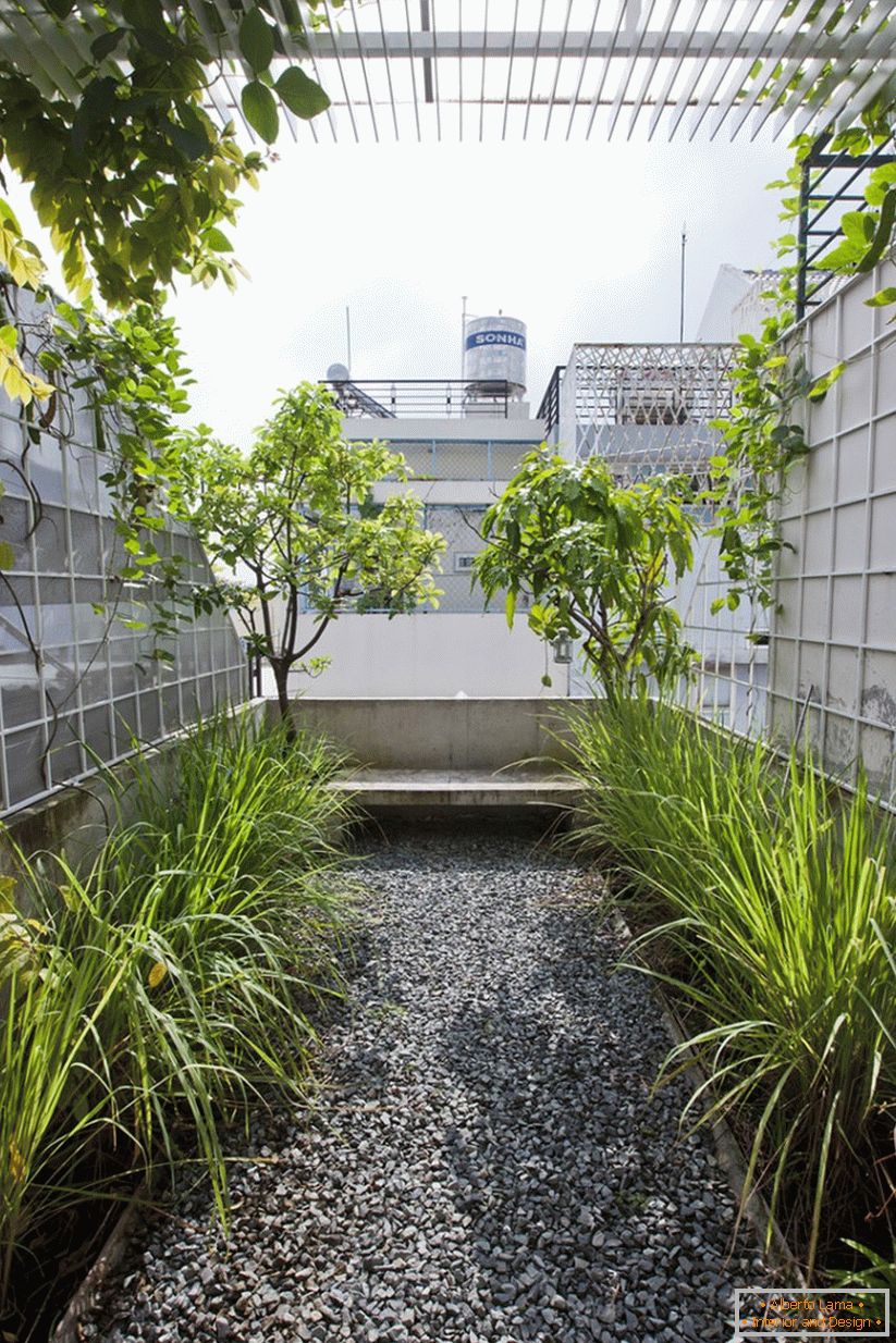 Garden on the roof of the house from DD concept