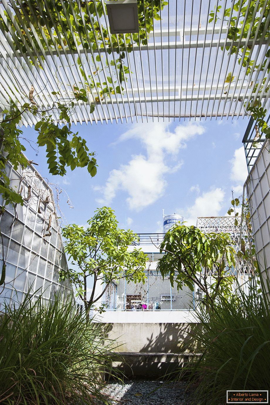 Garden on the roof of the house from DD concept