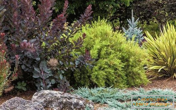 Garden design with large stones