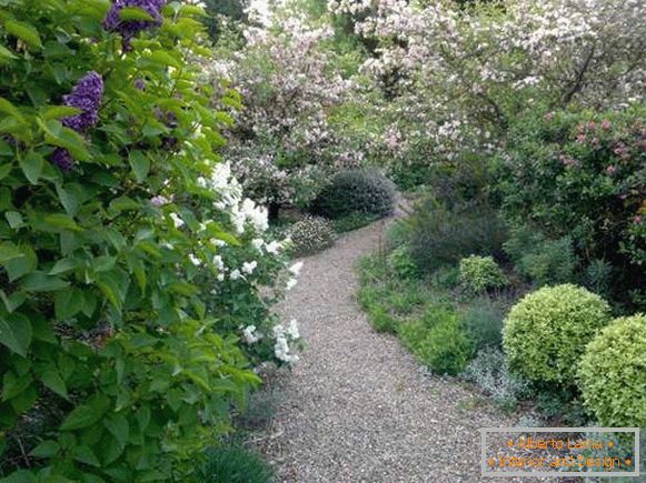 Beautiful garden design with trees