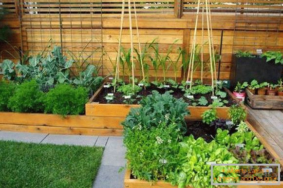 Wooden flower beds and containers in the garden design