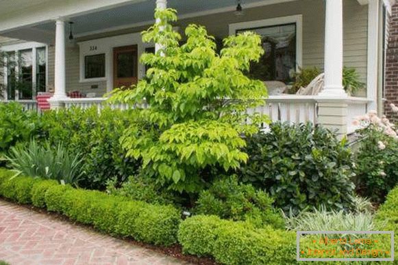 Garden design - decoration of porch and verandah