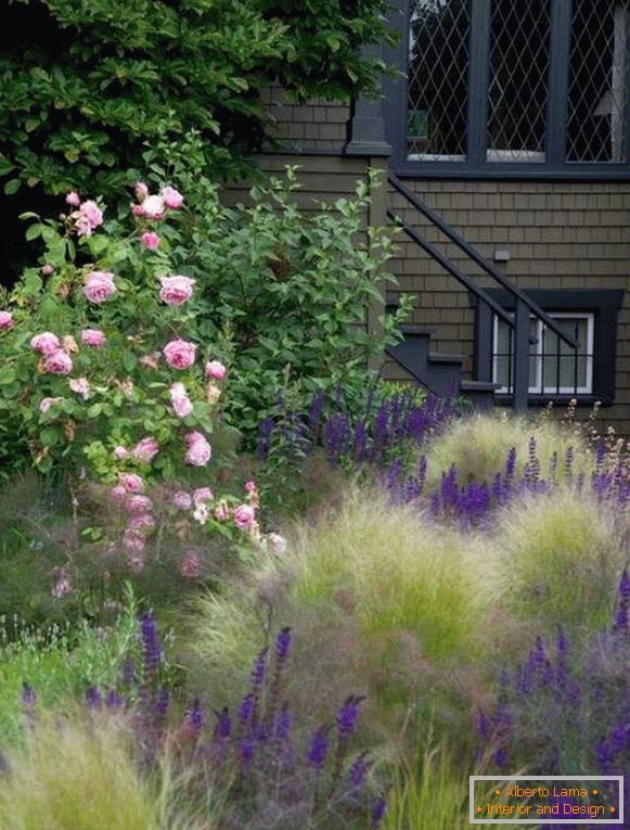 Garden design with their own hands - tall plants and bushes