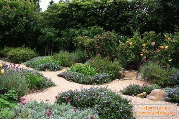 Beautiful garden design with paths