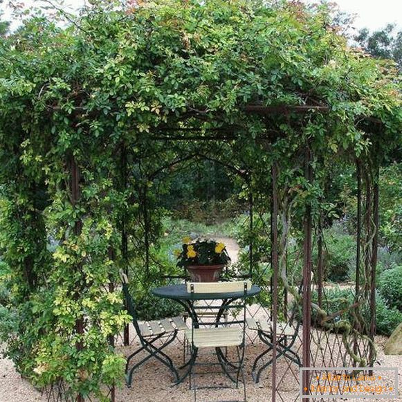 Ideas for a garden - a romantic arbor