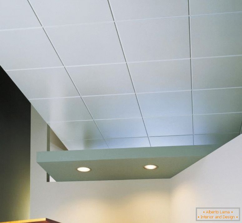 Suspended ceilings in the bathroom - 130 photo ideas of