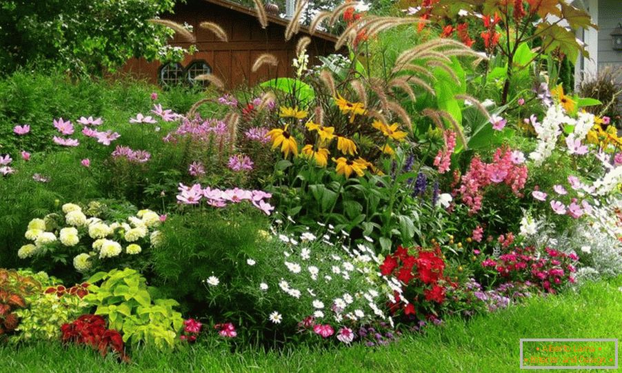 Bright, saturated flower bed