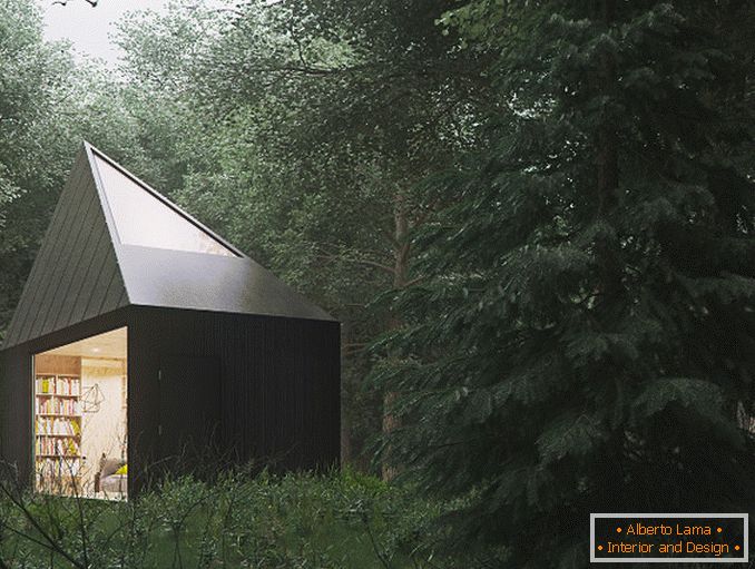 Projects of small houses: the appearance of a small house in the forest
