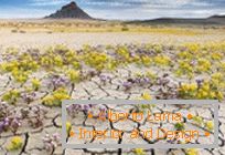 Deserts in Utah, exploded in colors