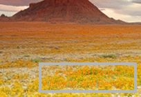 Deserts in Utah, exploded in colors