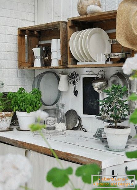 Indoor растения на кухне