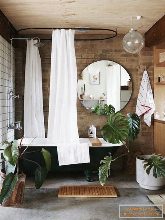 Indoor растения в ванной
