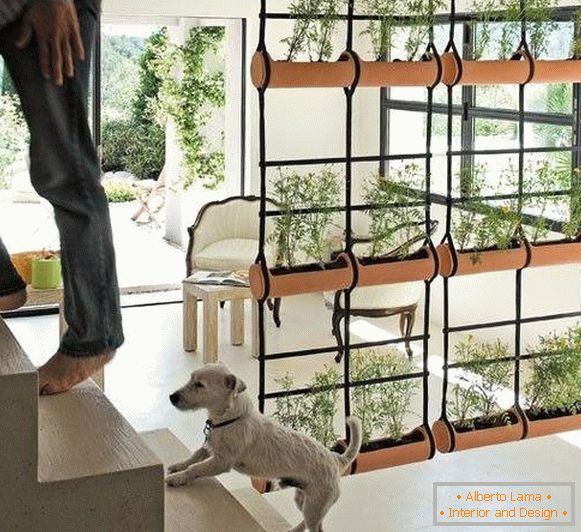 Beautiful partition in the house of indoor plants