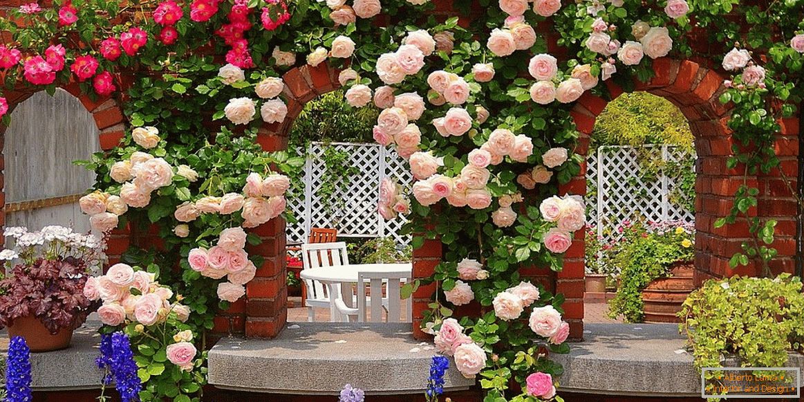 Roses in landscape design