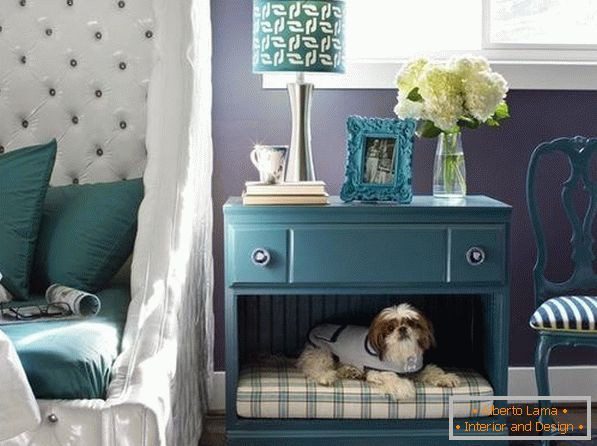 A place for a dog in a bedside table