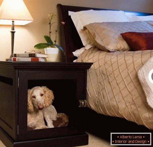 A place for a dog in a bedside table