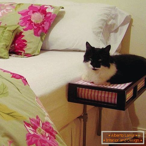 Bedside table with a place for a cat