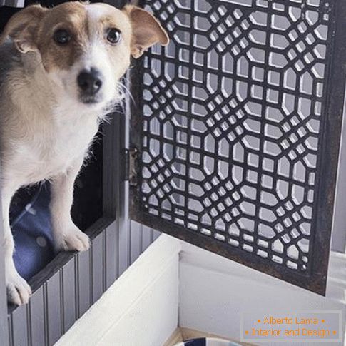 Creative booth for a dog