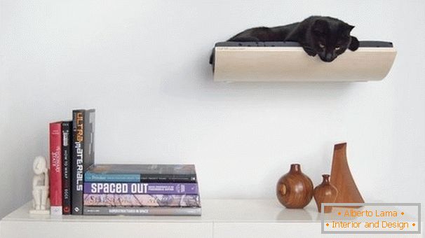 Shelves for cats on the wall