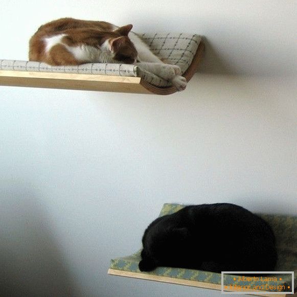 Wall shelves for cats