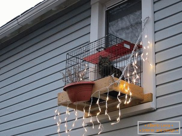 Aviary for a cat on a windowsill