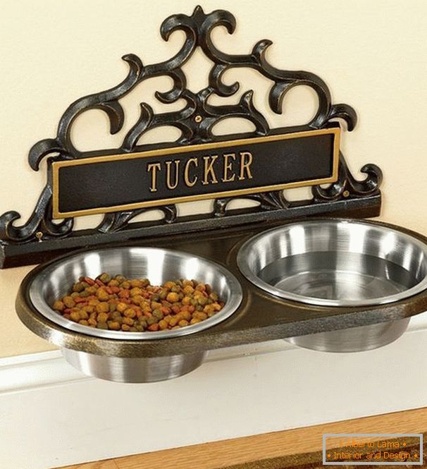 Wall feeder for the pet