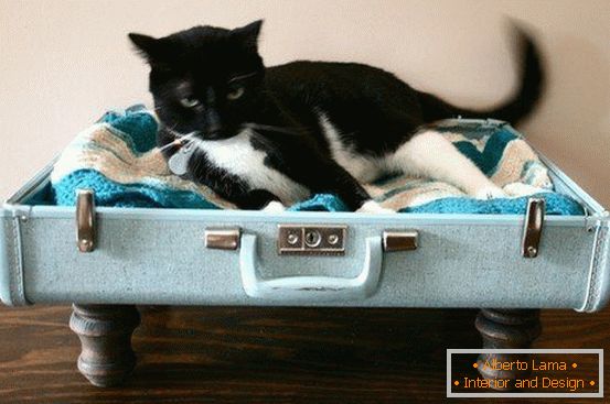 Place for a cat from a suitcase