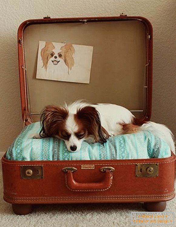 Place for a dog from a suitcase