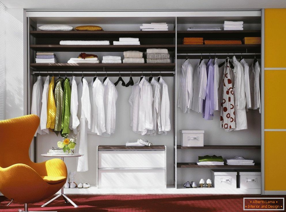 Closet in the living room