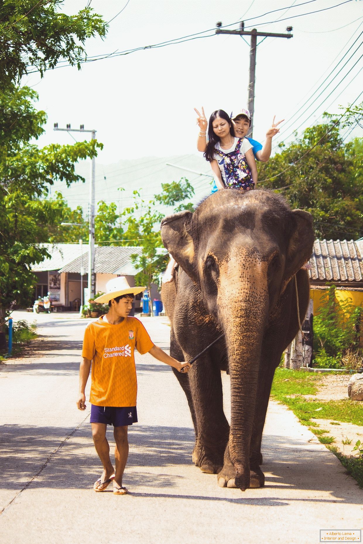 Traveling on an elephant