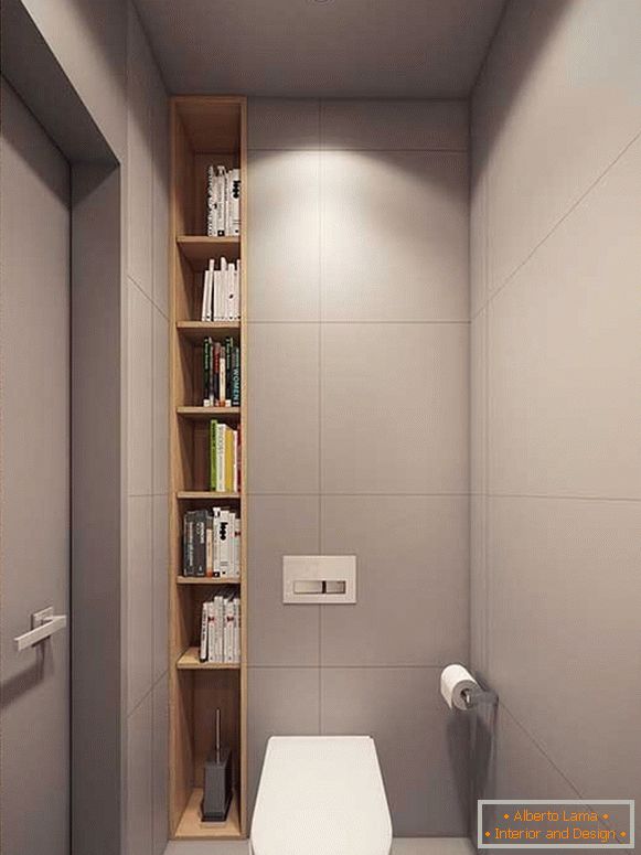 Bookshelves in the toilet