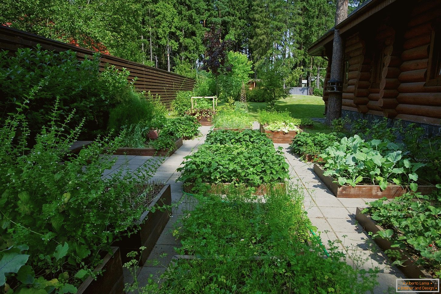 Vegetable garden in the country