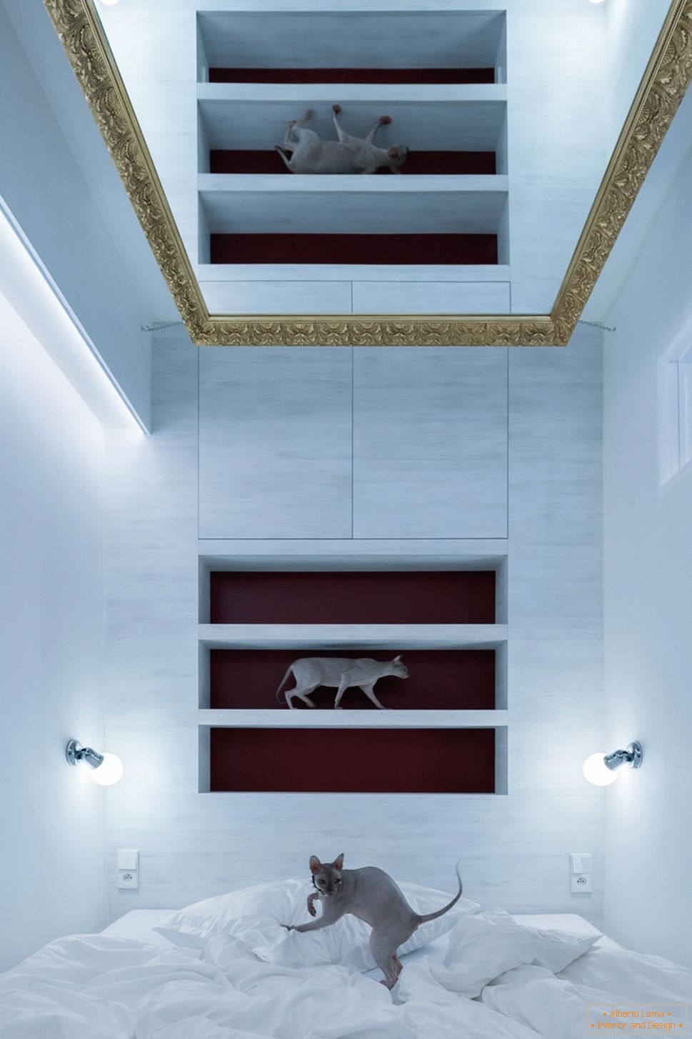 Modern design of a small apartment - cats in the interior