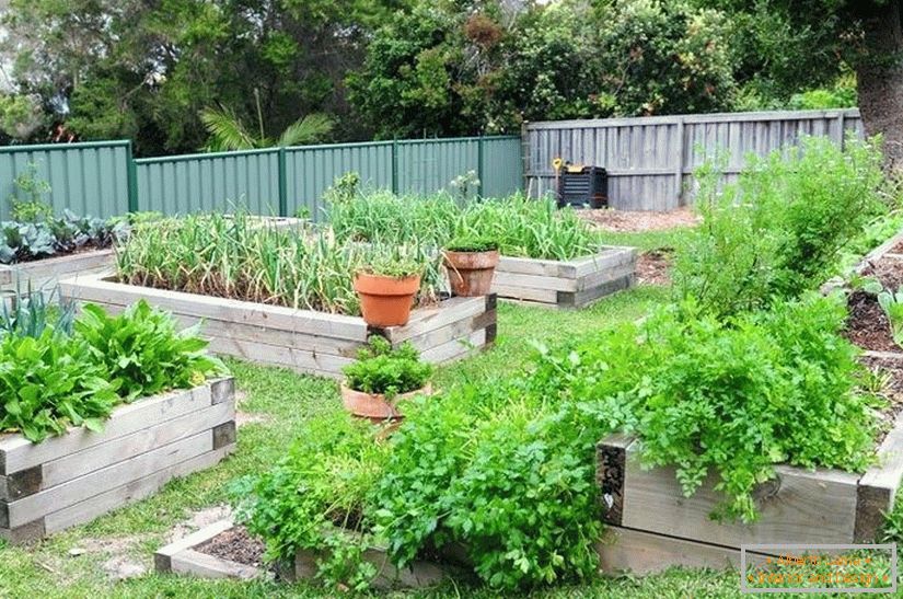 Design of a kitchen garden
