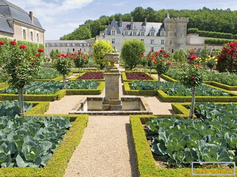 A vegetable garden near a luxury house
