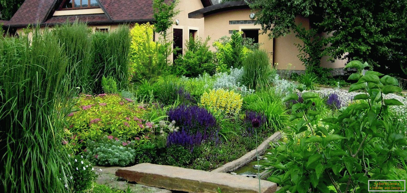 Landscaping in eco-style