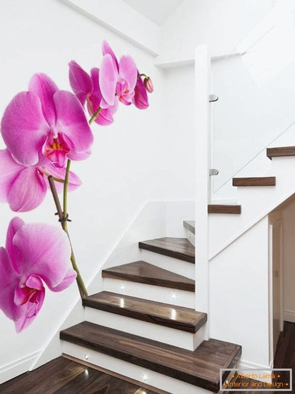 Photos of orchids on the stairs