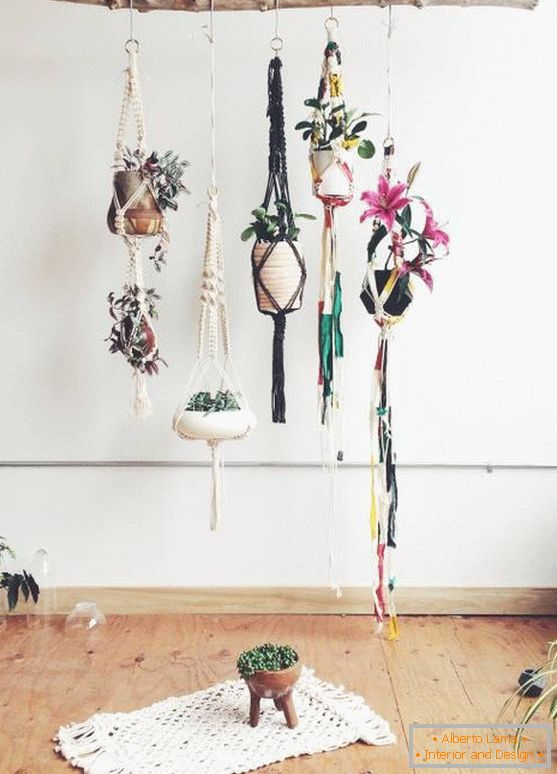 Idea for hanging indoor plants