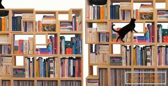 Bookshelf that your cat will love