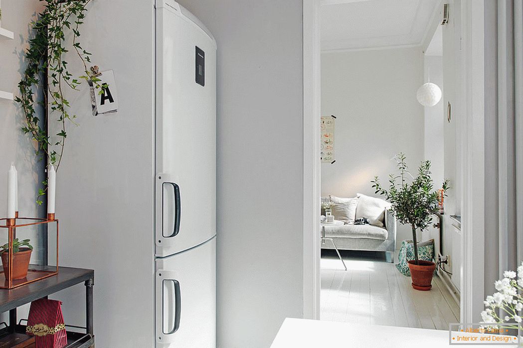 Arch between the kitchen and the living room in a small apartment